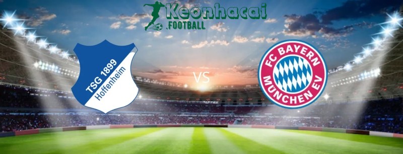 Soi kèo Hoffenheim vs Bayern Munich, 20h30 ngày 18/05/2024 1 Soi kèo Hoffenheim vs Bayern Munich, 20h30 ngày 18/05/2024