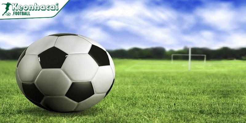 Hình thức hoạt động của cò bóng đá là gì