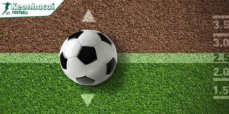 Hướng dẫn cách chơi Dutching hiệu quả cho người mới