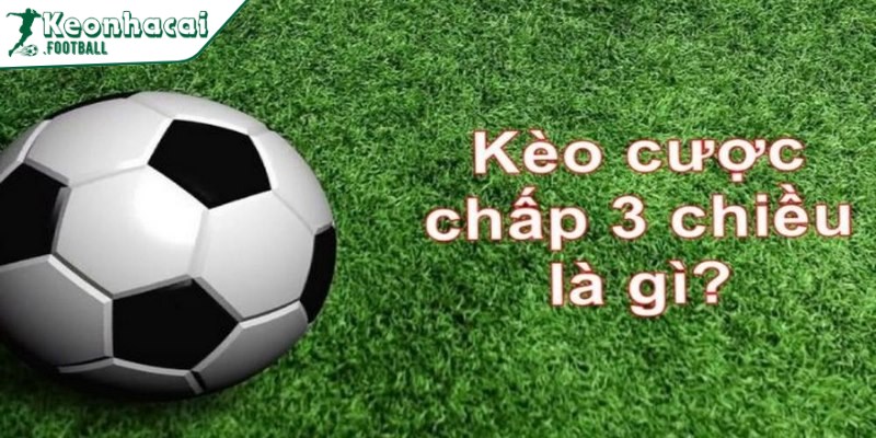 Hướng dẫn đọc kèo cược chấp 3 chiều chuẩn xác