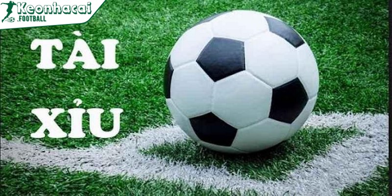 Kinh nghiệm đặt kèo Tài Xỉu luôn thắng từ cao thủ