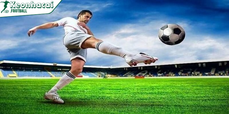 Cược theo nhận định của chuyên gia đối với người mới rất quan trọng