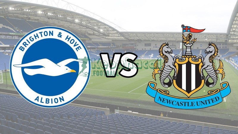 Soi kèo Brighton vs Newcastle - 2100 ngày 18/10 - Ngoại hạng Anh